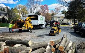 Best Utility Line Clearance  in Boyes Hot Springs, CA